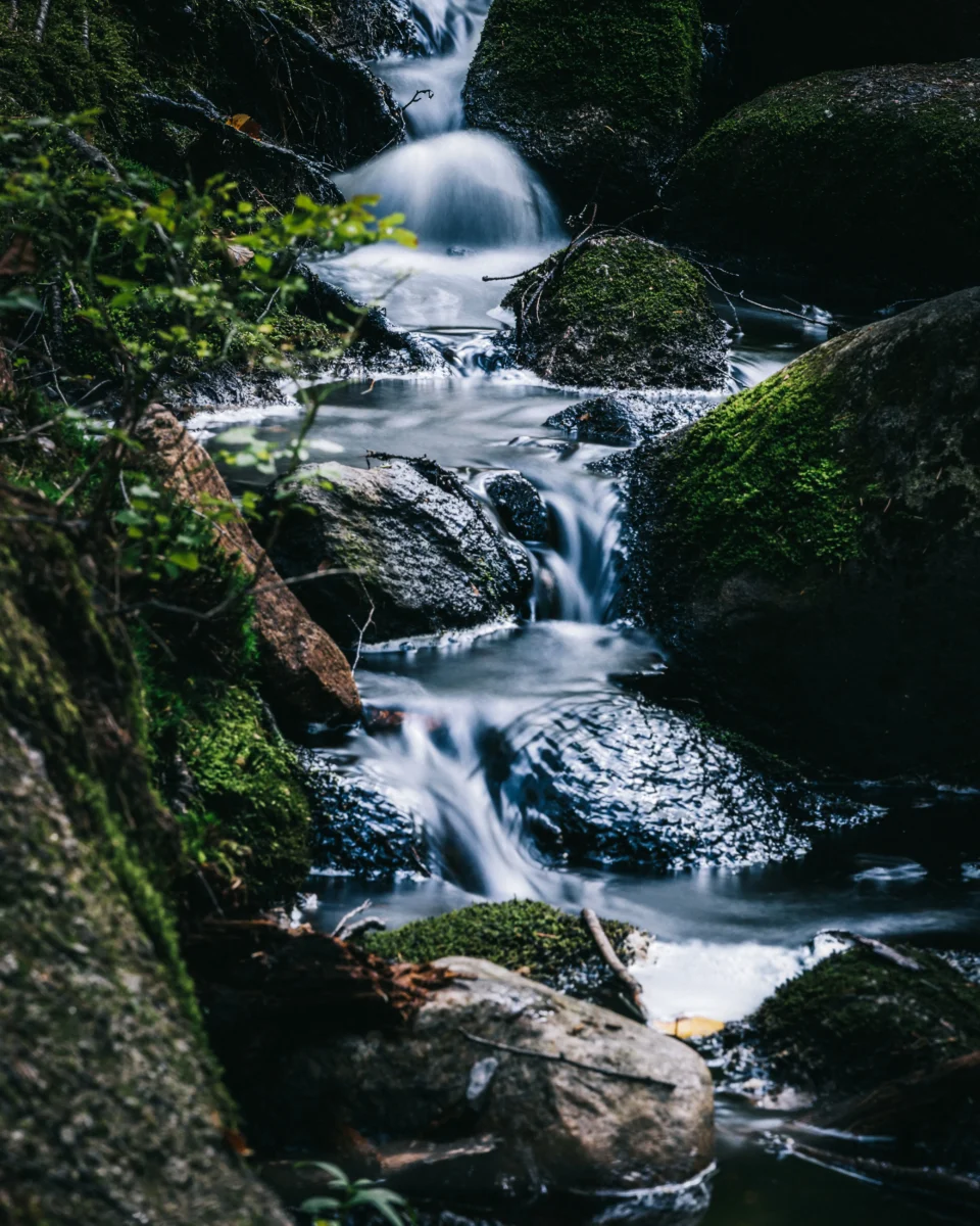 En liten vattenström från skogarna i Småland